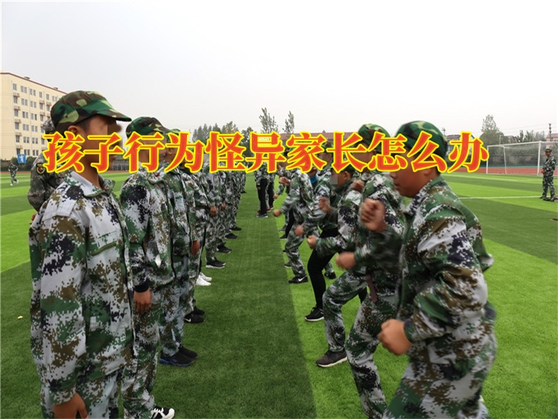 解決孩子心理問題,青少年封閉式教育學校