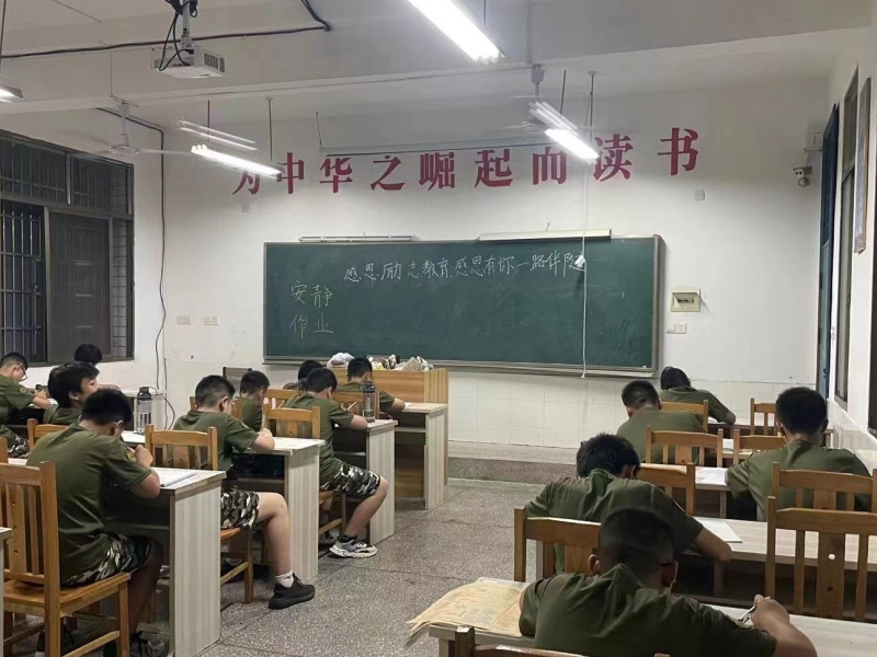新起點青少年特訓學校,夏令營