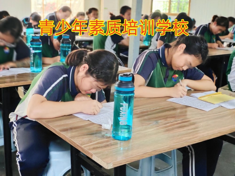 孩子打架斗毆,素質教育學校