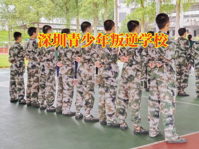 孩子同性戀,正規(guī)的問題少年學(xué)校