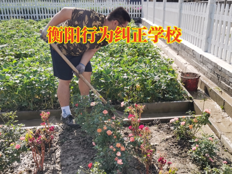 矯正孩子懶惰,行為矯正學校