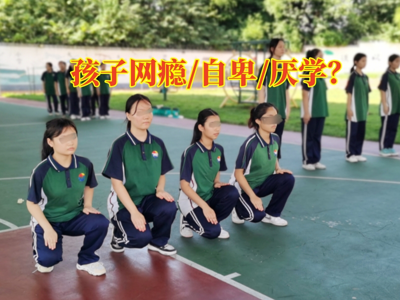 孩子迷上網絡小說,孩子沉迷小說