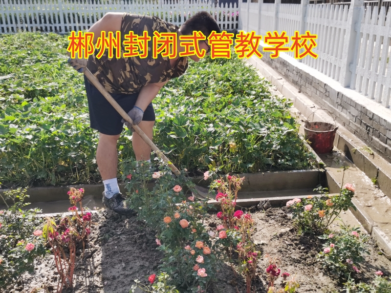 小孩說謊,少年管教學校