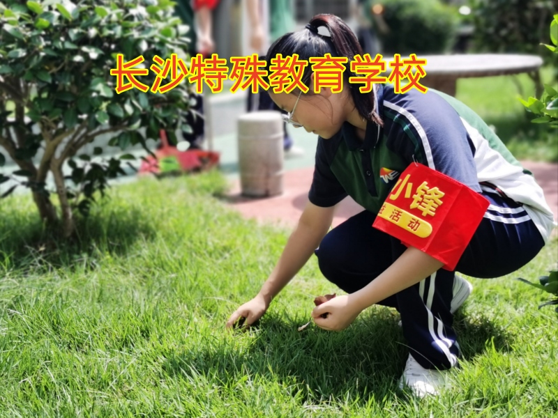 小孩抽煙,青少年特殊教育學校