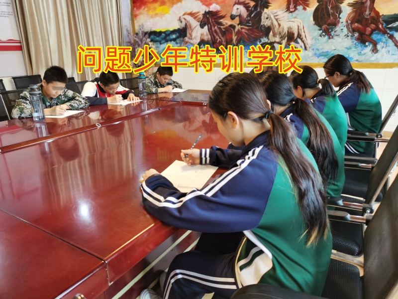 孩子混社會,正規的問題少年學校