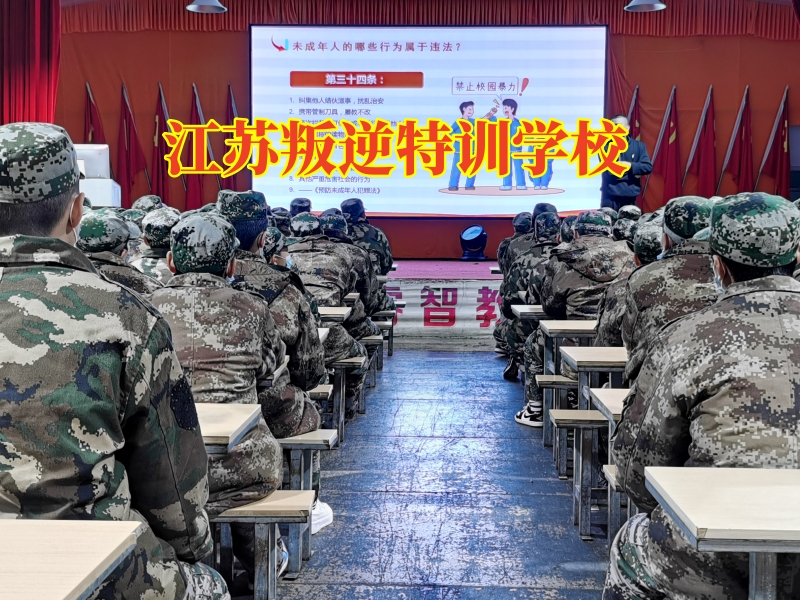 教育青春期叛逆的學(xué)校對(duì)孩子易怒的原因分析