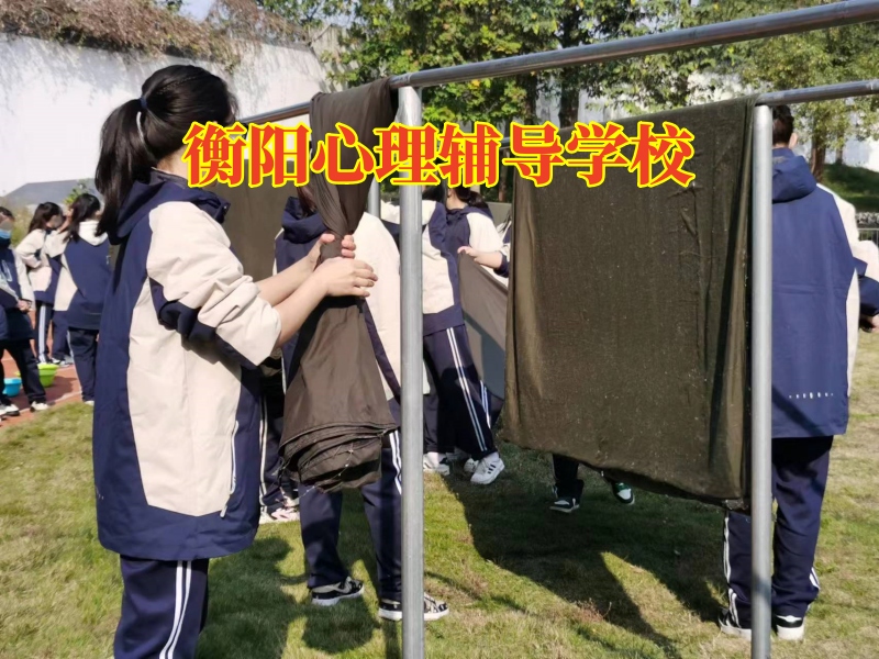 衡陽心理輔導學校，衡陽心理輔導學校對孩子情緒低落的原因分析