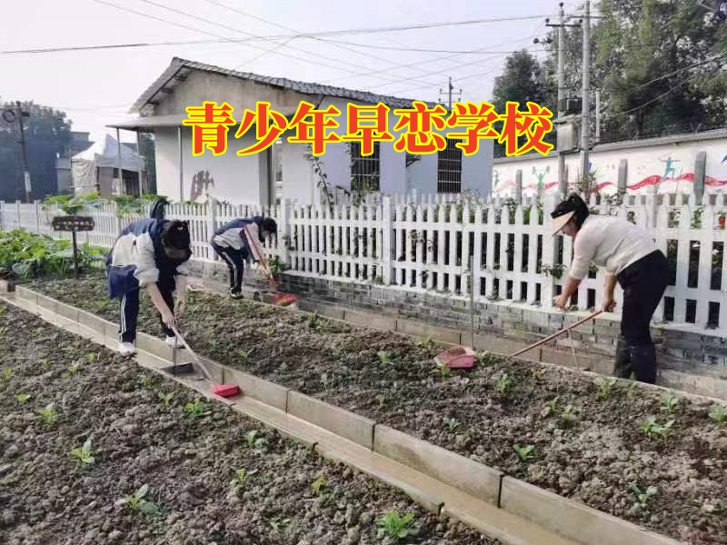 青少年早戀學校，青少年早戀學校：三個方法解決孩子網戀問題
