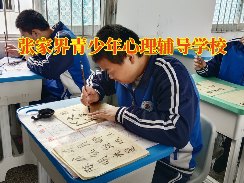 張家界青少年心理輔導學校建議這樣開導情緒低落的孩子