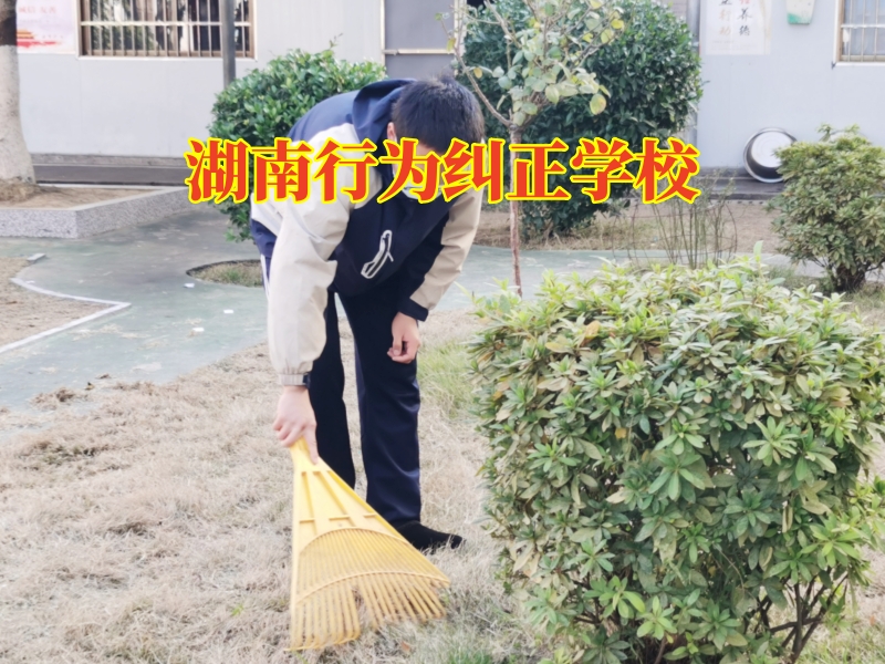 湖南行為糾正學校，湖南行為糾正學校改變孩子寫作業拖拉