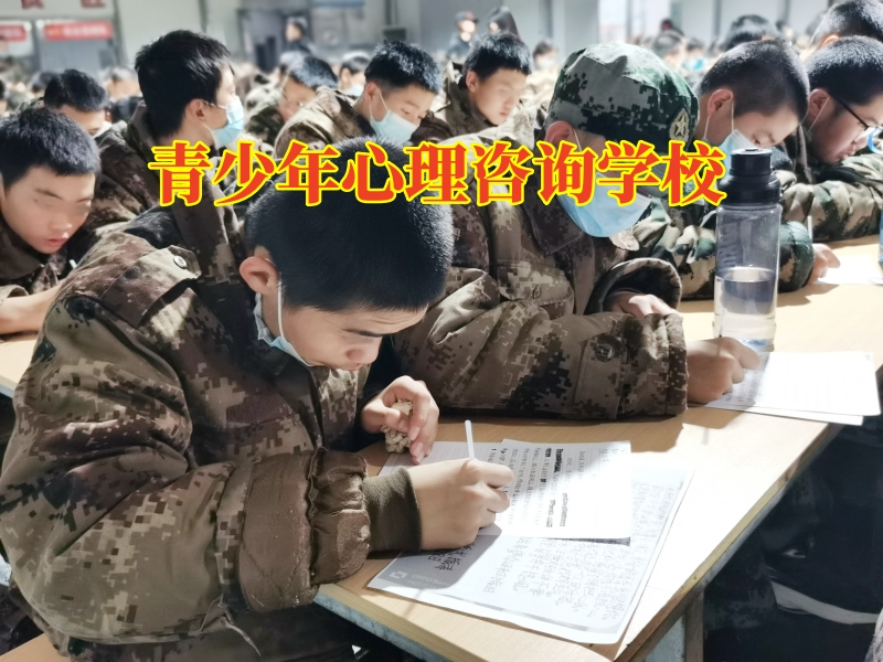 青少年心理咨詢學校分析孩子自閉的原因
