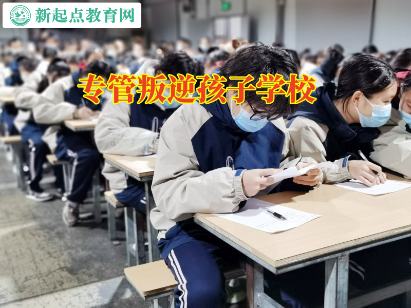 專管叛逆孩子學(xué)校，專管叛逆孩子學(xué)校教家長(zhǎng)分析孩子為何總是易怒的原因