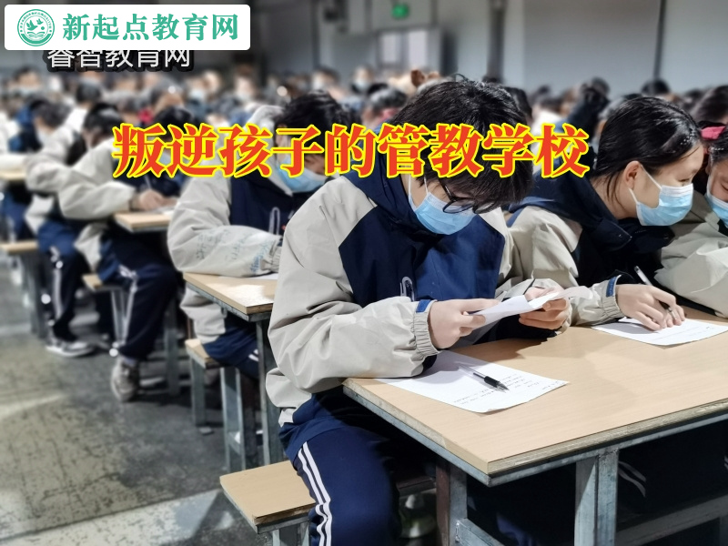 叛逆孩子的管教學校，叛逆孩子的管教學校這樣看待孩子躺平現象