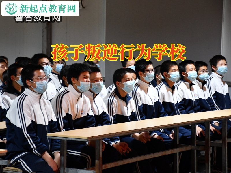孩子叛逆行為學校，孩子叛逆行為學校應對14歲女孩早戀的措施