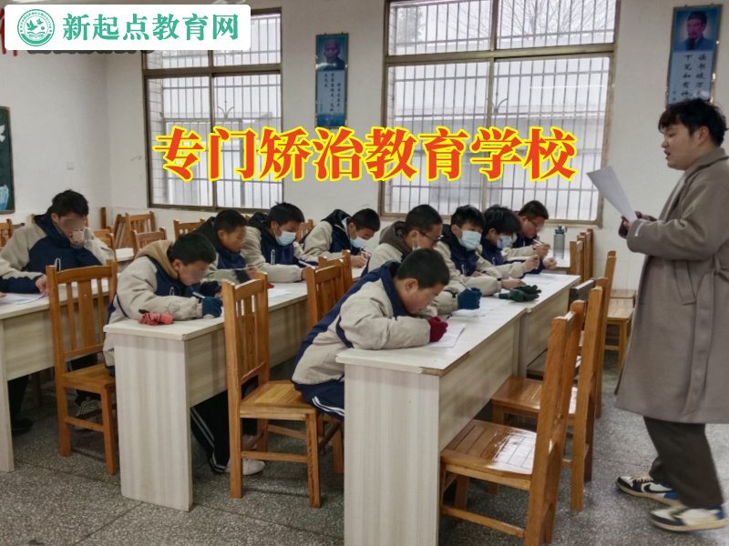專門矯治教育學校，專門矯治教育學校介紹孩子肥胖的原因