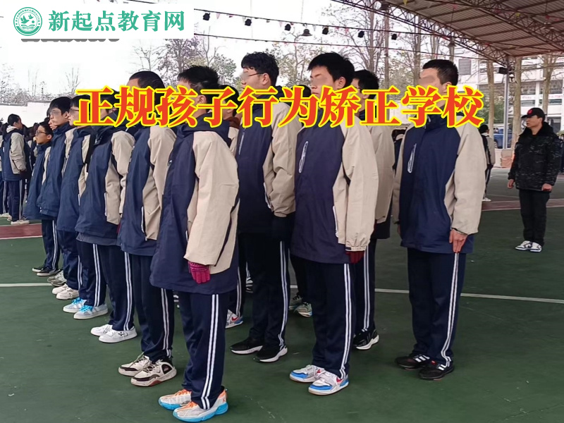 正規孩子行為矯正學校，正規孩子行為矯正學校孩子出現拔毛癖的原因
