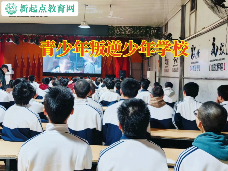 青少年叛逆少年學校，青少年叛逆少年學校解決孩子愛發脾氣問題