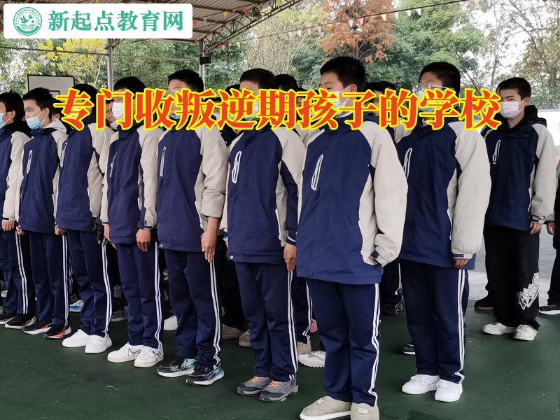 專門收叛逆期孩子的學(xué)校針對孩子愛看小說的建議