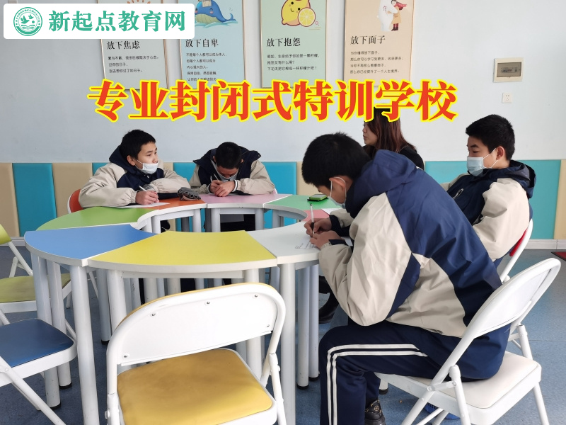 專業封閉式特訓學校分析導致孩子自殘的原因