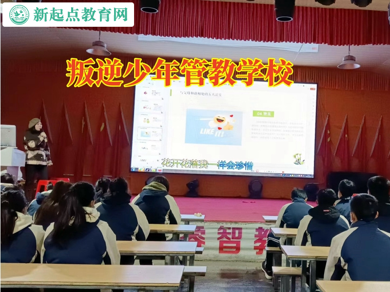 叛逆少年管教學校改善孩子頂嘴問題