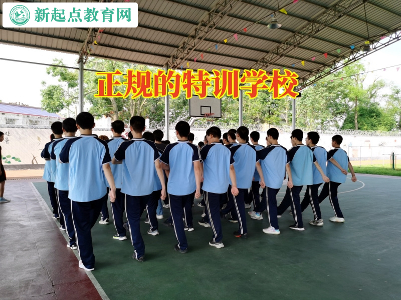 正規的特訓學校分析孩子逃學的主要原因