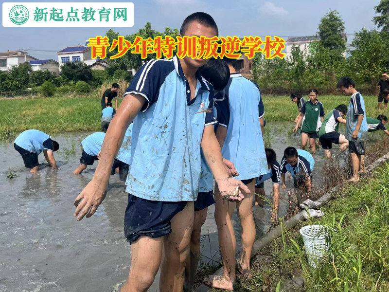 青少年特訓(xùn)叛逆學(xué)校告訴孩子不能亂交朋友