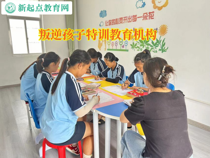 叛逆孩子特訓(xùn)教育機構(gòu)介紹亂交朋友的危害