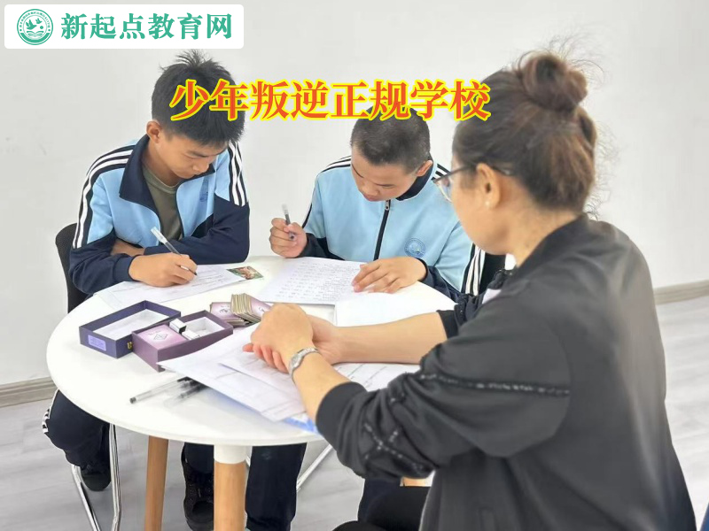 少年叛逆正規(guī)學(xué)校矯正孩子頂撞父母行為