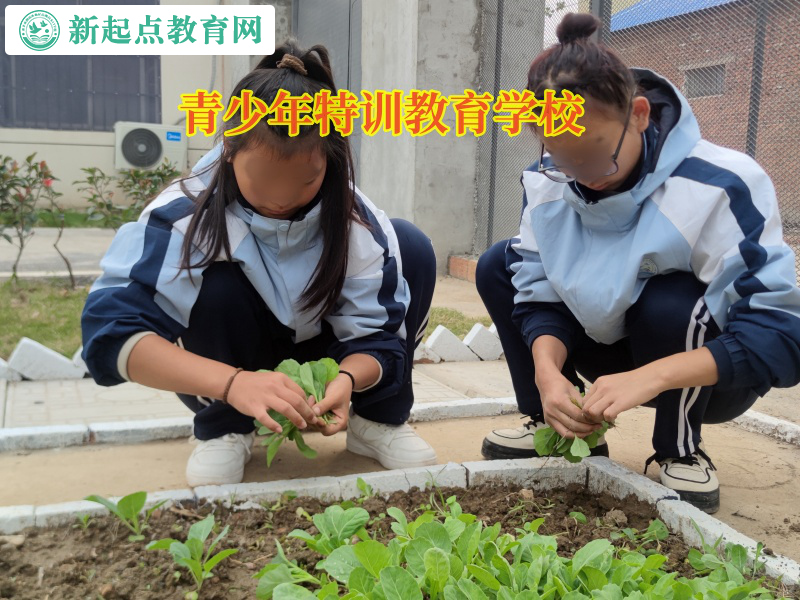 青少年特訓教育學校告訴孩子不要沉迷網絡游戲