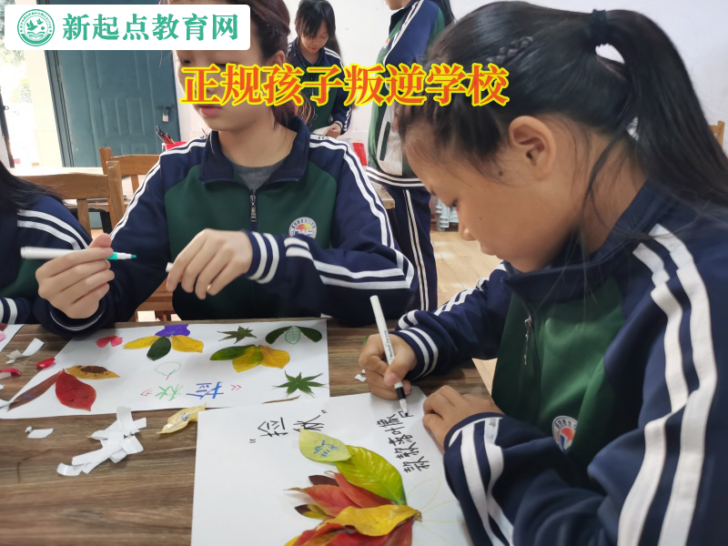 正規(guī)孩子叛逆學(xué)校矯正孩子沉迷手機(jī)行為