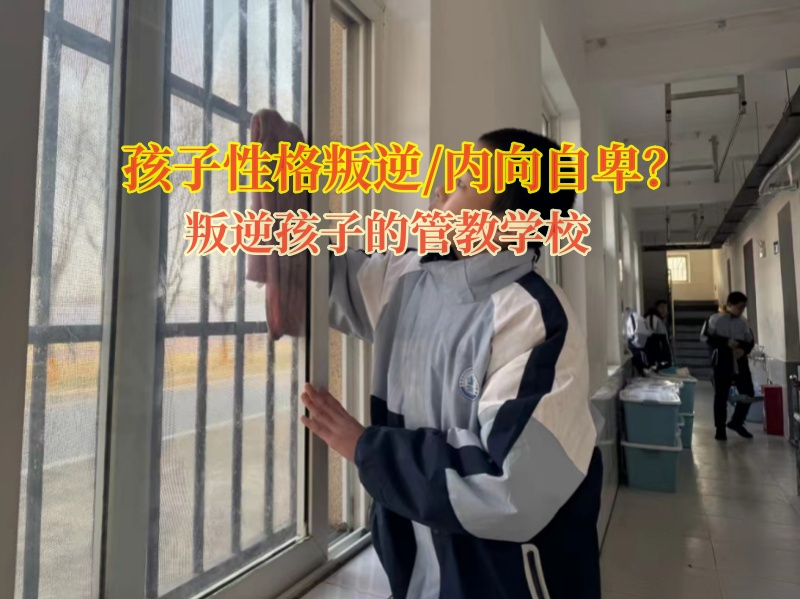 叛逆孩子的管教學(xué)校教導(dǎo)內(nèi)向自卑的孩子