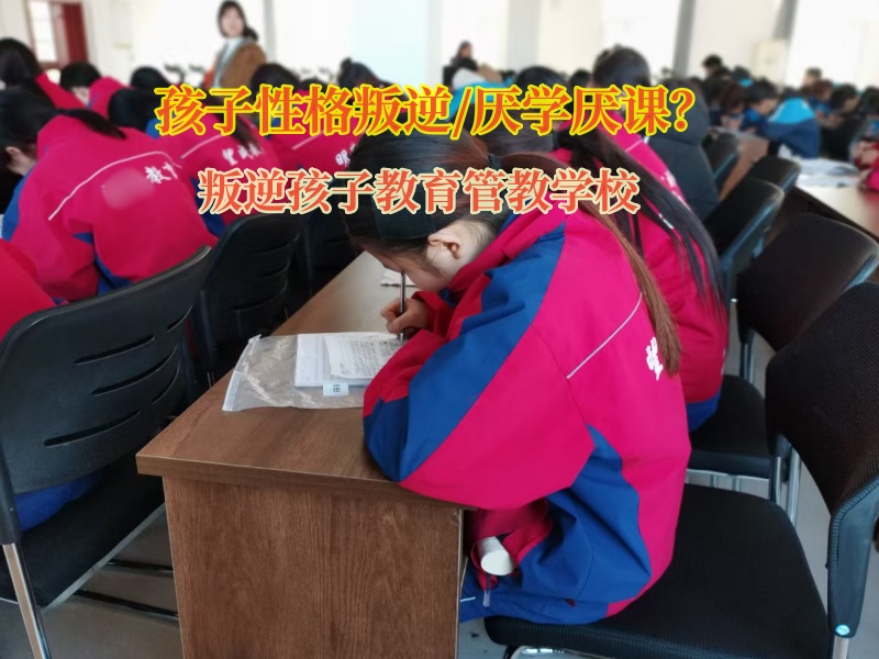 叛逆孩子教育管教學校引導孩子重新找回學習的動力