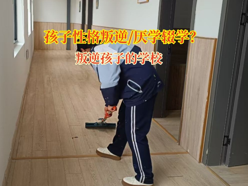 叛逆孩子的學(xué)校糾正孩子輟學(xué)想法