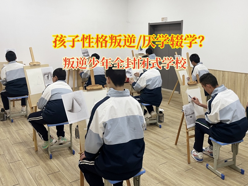 叛逆少年全封閉式學(xué)校解決高中生輟學(xué)問(wèn)題