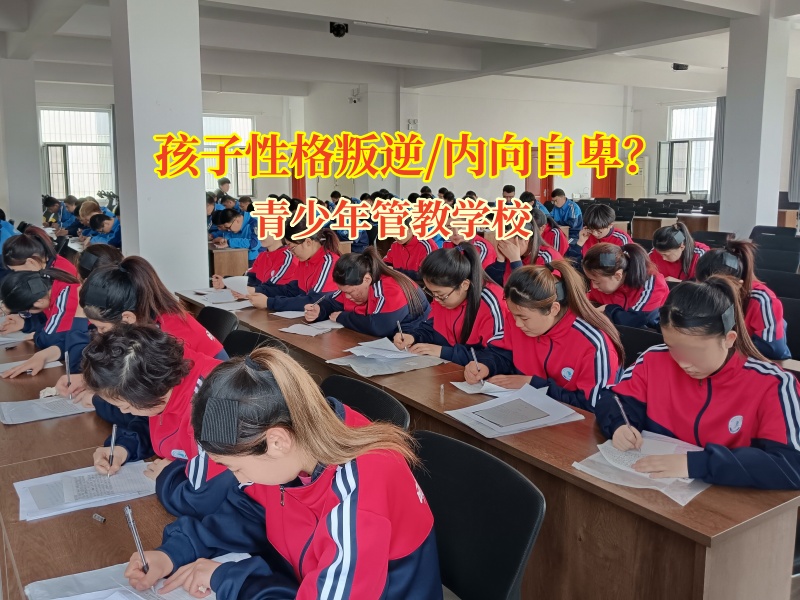 http://www.amazon168.cn/