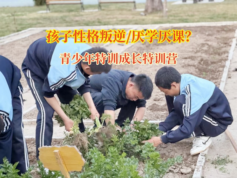 青少年特訓(xùn)成長特訓(xùn)營糾正孩子學習態(tài)度欠佳