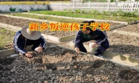 孩子愛頂嘴叛逆如何進行糾正