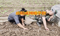 孩子黑白顛倒三步法幫助孩子進行糾正