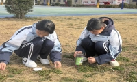新起點教育特訓學校開展校園綠化行動