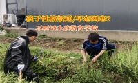 不聽話小孩教育學(xué)校教育初中生遠離網(wǎng)戀“陷阱”