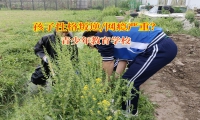 青少年教育學校共筑青少年健康上網防線