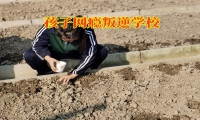 孩子沉迷游戲，家長需要這樣做