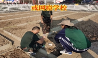孩子沉迷小說怎么辦？
