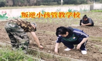 孩子愛頂嘴，家長可以這樣應對