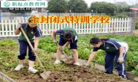 全封閉式特訓學校建議這樣培養孩子的社交能力
