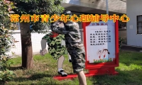 常州市青少年心理輔導中心三個方法幫助孩子走出低落情緒